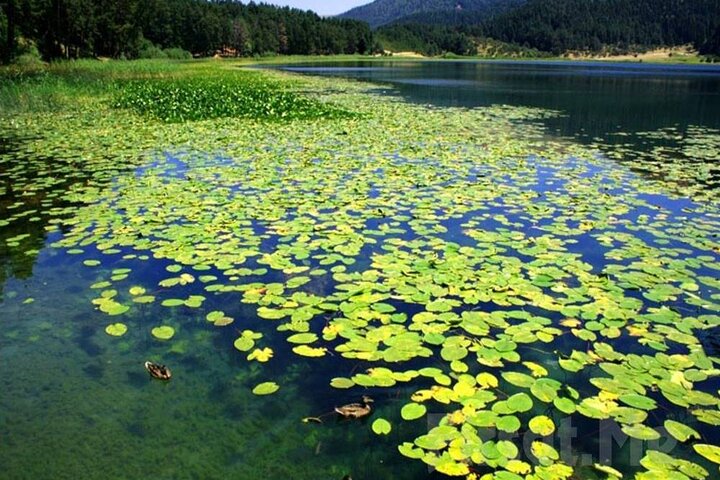 Sapanca Lake & Masukiye Tour From Istanbul