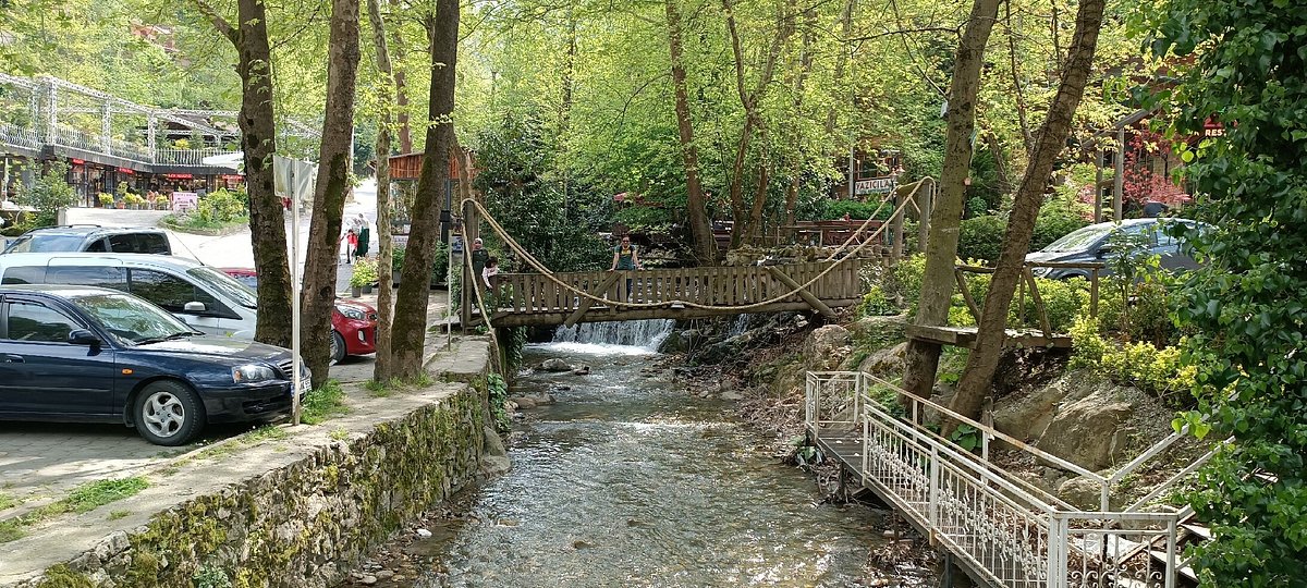 Sapanca And Masukiye Tour With Lunch - Full Day