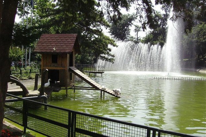 Day Trip from Istanbul to Sapanca Lake/ Masukiye Village