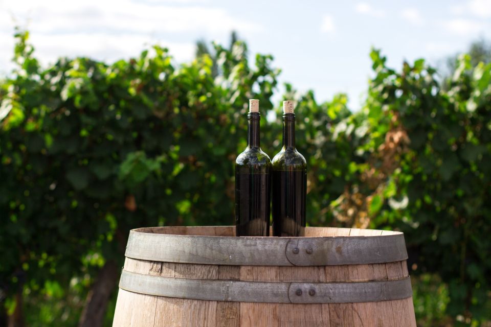 Cappadocia: Private Half-Day Vineyards & Wine Tasting Tour