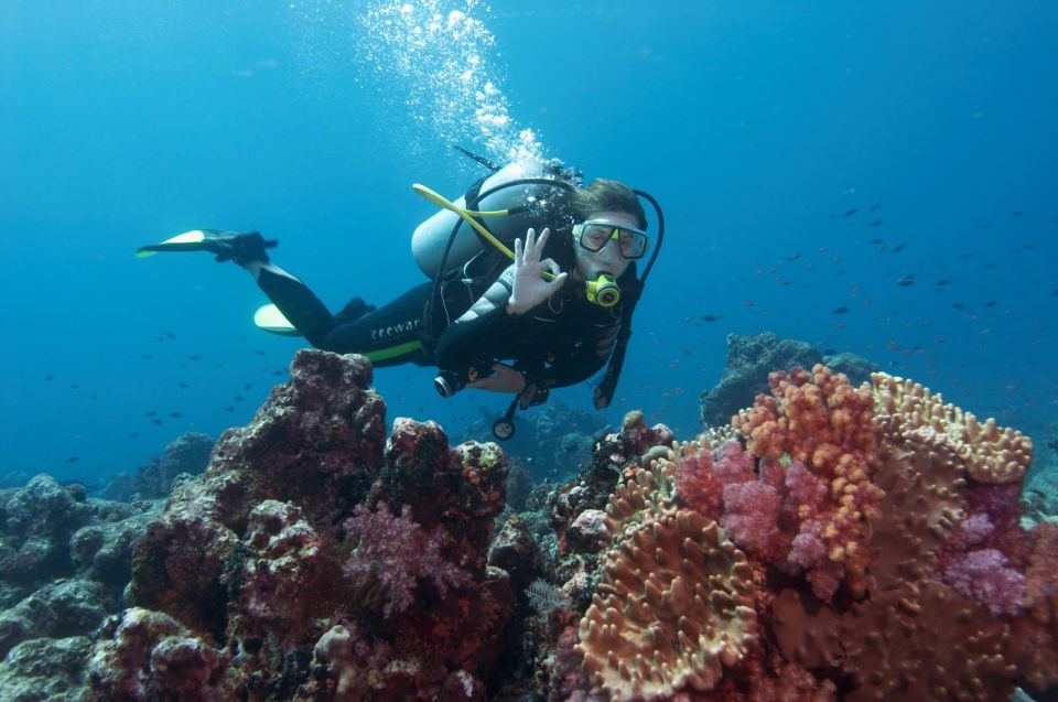 Scuba Diving Tour in Bodrum