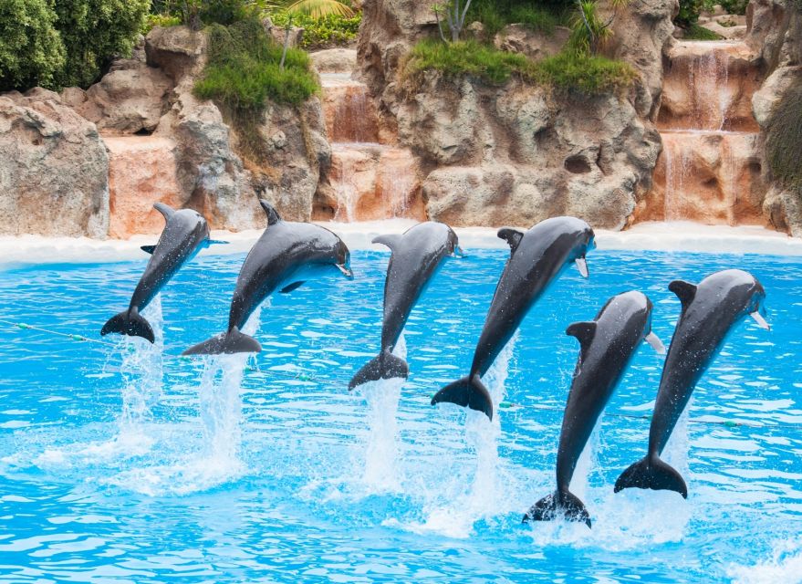 Antalya: The Land of Legends Theme Park with Transfer