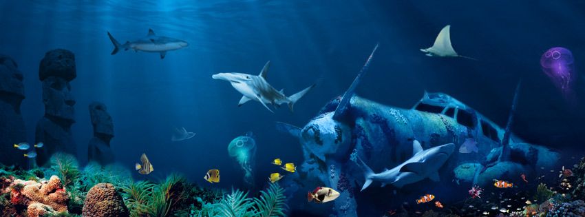 Antalya: Aquarium Entrance Ticket & Optional Transfer