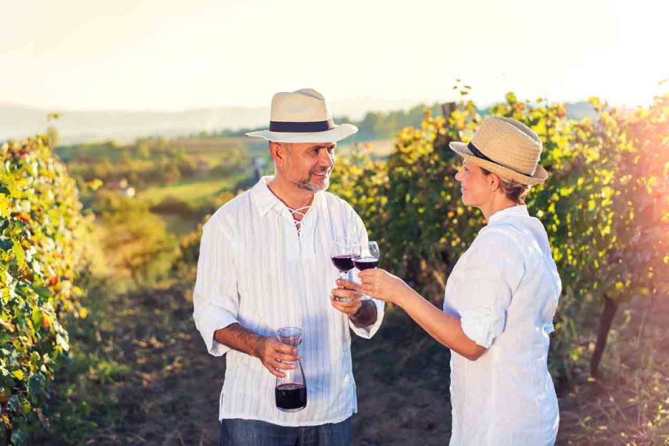 Bodrum: Helicopter Tour to Mor Salkim with Wine & Meal