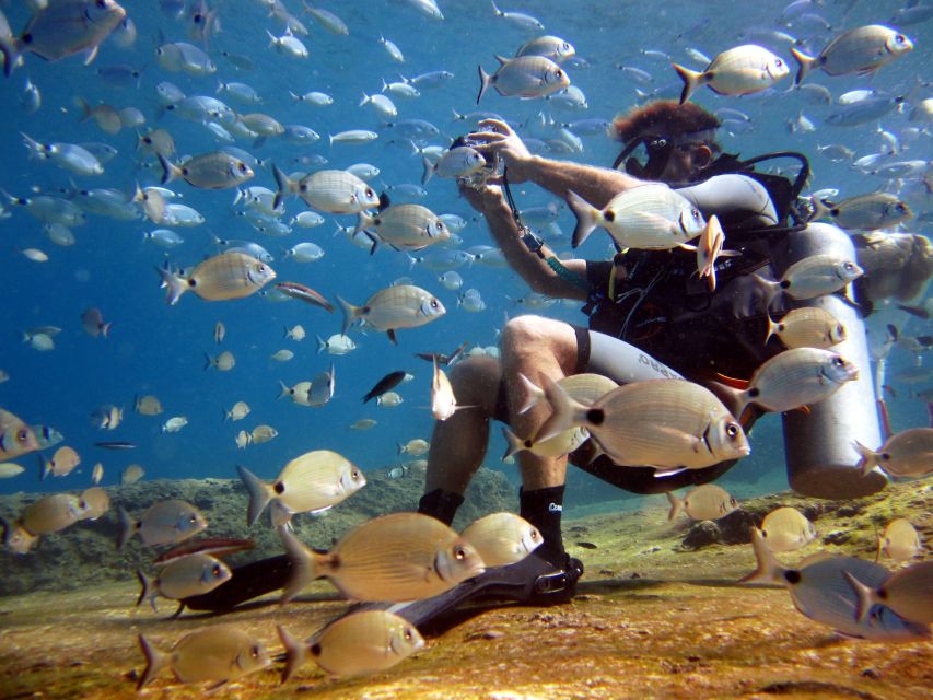 Fethiye: Ölüdeniz Scuba Diving Tour