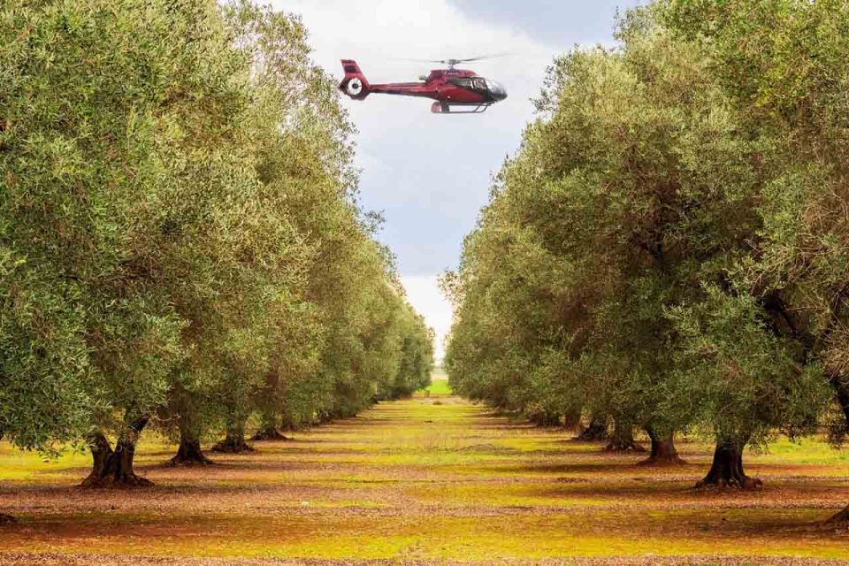 Bodrum: Guided Olive Grove Helicopter Tour and Aegean Brunch