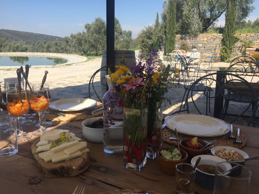 Bodrum Vineyard Tour with Dinner and Wine Pairing