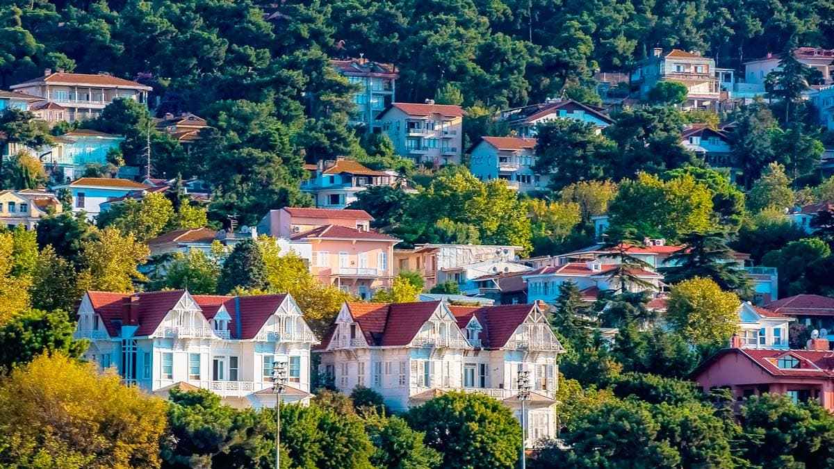 From Istanbul: Büyükada Walking Full-Day Tour