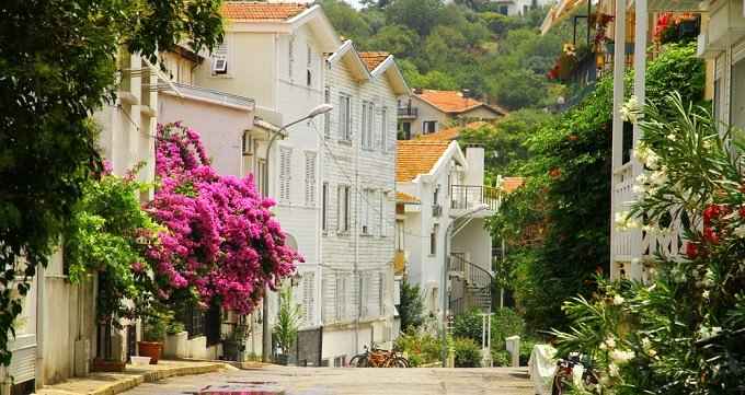 From Istanbul: Büyükada Walking Full-Day Tour