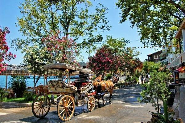 Istanbul: Day Trip to the Princes' Islands