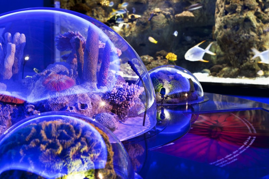 Istanbul Aquarium Ticket & Shuttle Bus
